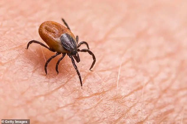 Biochemist Alleges CIA Bioweapon Experiments Tied to Modern Lyme Outbreak