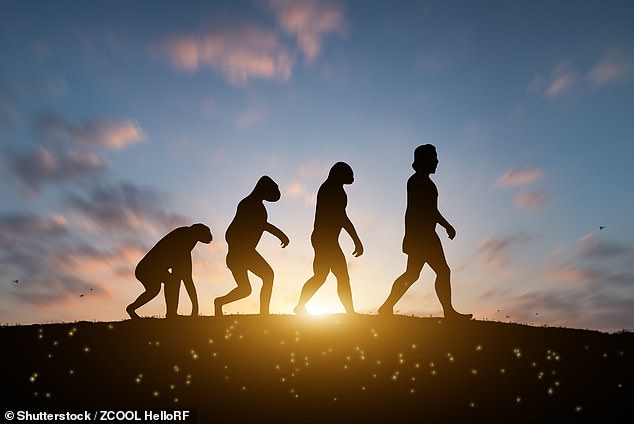 From Evolution to Faith: Dr. Michael Guillen's Shift in Understanding Human Origins