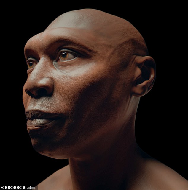 Reconstructing the Lost Languages of Ancient Humans: A Breakthrough in Decoding Prehistoric Voices