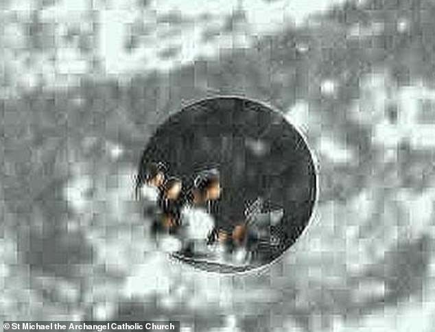 New Study Reveals Microscopic Human Figures in Tilma of Guadalupe's Eye, Reigniting Debates Over Art, History, and Human Knowledge