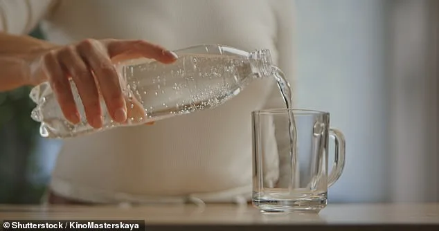 Sparkling Water Found to Enhance Focus and Alertness in Study