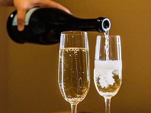 Sparkling Water Found to Enhance Focus and Alertness in Study