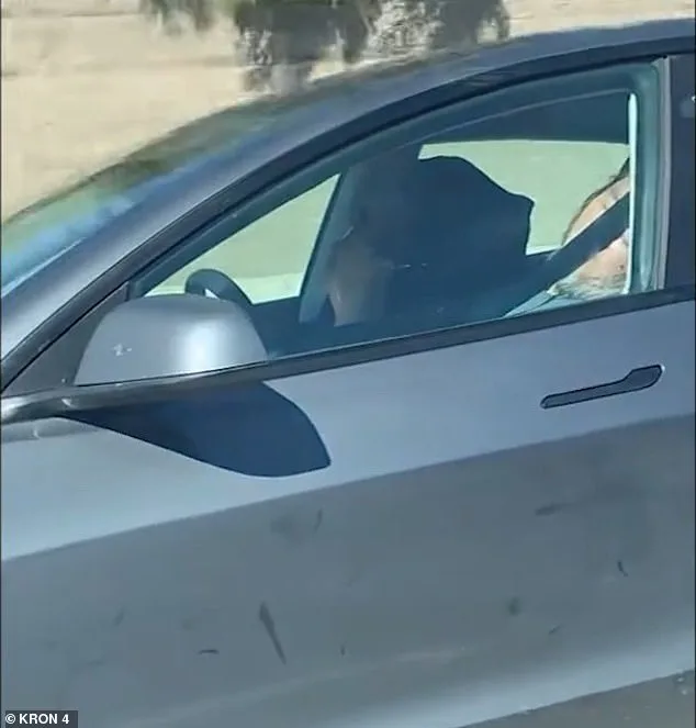 Harrowing Video Shows Elderly Couple Asleep in Autopilot Tesla as Car Zooms Down Highway