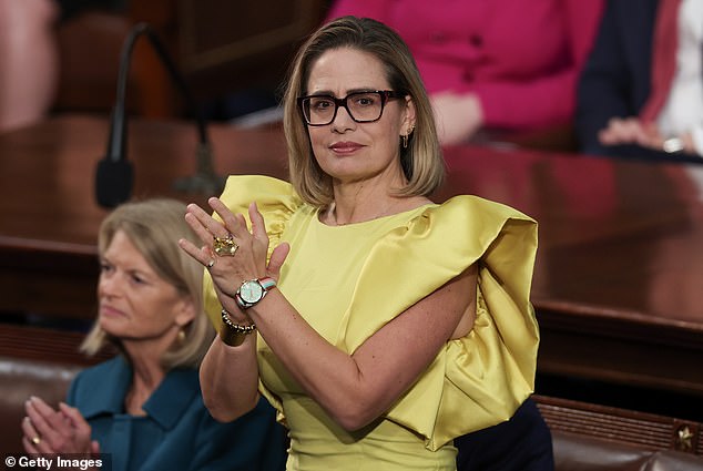 Krysten Sinema Faces Lawsuit Over Alleged Affair With Former Bodyguard