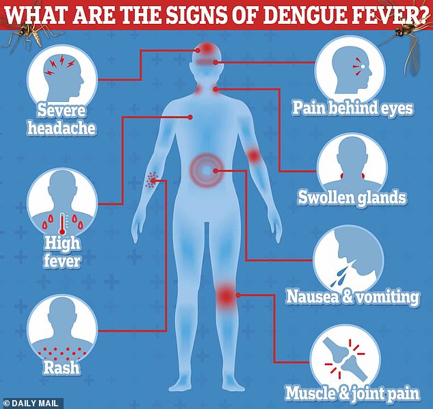 Climate Change-Driven Extreme Weather Sparks Deadly Dengue Surge in Peru