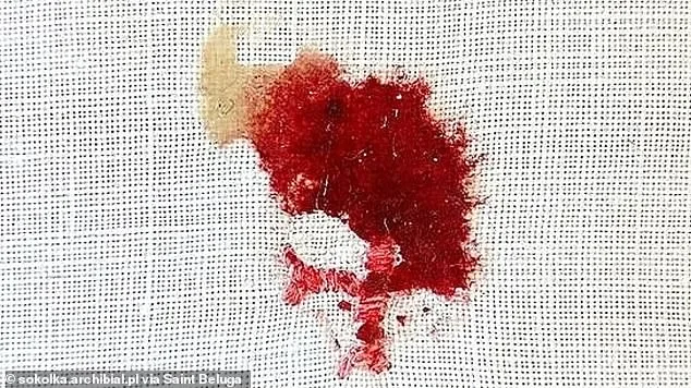 Mystery Deepens: Eucharistic Miracles Resurface in Poland, Mexico, and Beyond, Sparking Scientific and Religious Debate