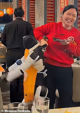 Malfunctioning Robot Causes Chaos at Haidilao in San Jose During Promotional Stunt