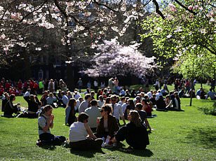Spring Arrives as Vernal Equinox Marks the Sun's Northern Journey and Shift in Global Daylight
