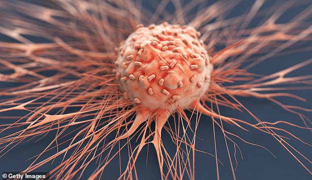 Surge in Liver, Womb, and Head-and-Neck Cancers Sparks Urgent Warnings in the UK