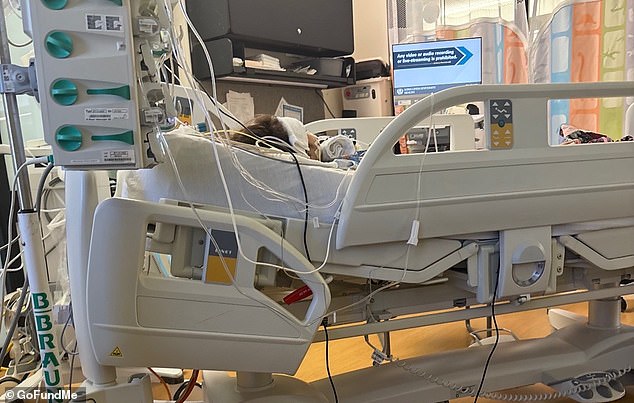 Camila Romero, 4, Fighting for Her Life After Swallowing Button Battery That Caused Severe Esophageal Burn