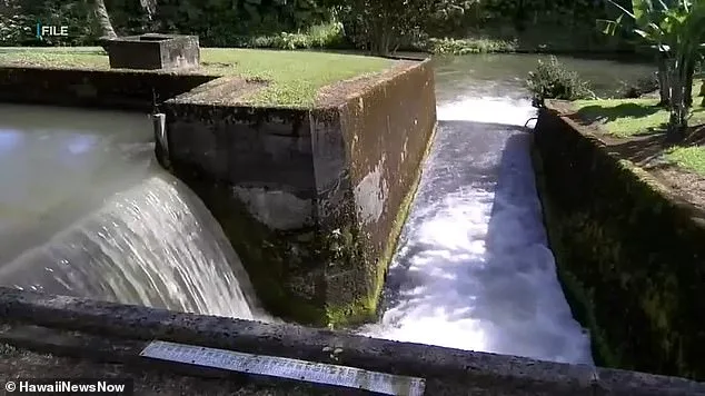 Hawaii's Oahu Battles Record Flooding as Rescuers Save 233 Amid Dam Crisis