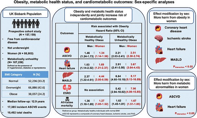 Study Challenges 'Fat But Fit' Belief: Overweight Individuals Face Higher Disease Risk Even Without Metabolic Issues