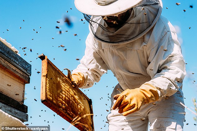 British Honey Contamination: Prescription Drugs Found, Risks to Consumers and Bees