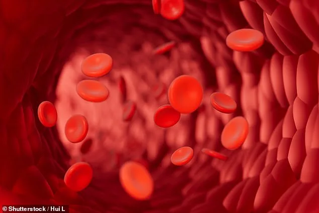 Ultra Races May Accelerate Cellular Aging in Athletes, Study Finds