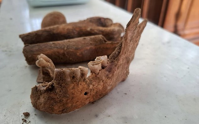 D'Artagnan's Remains Uncovered Beneath Dutch Church After 350 Years