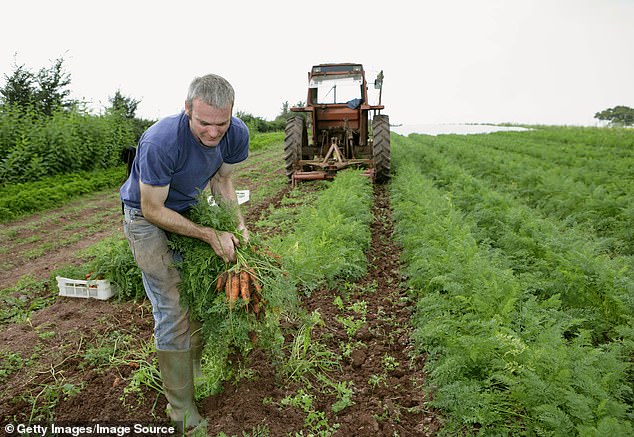 The USDA Organic Label: Not All That It Seems