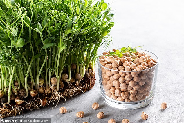 Hummus: The Hidden Powerhouse for Cholesterol and Weight Loss