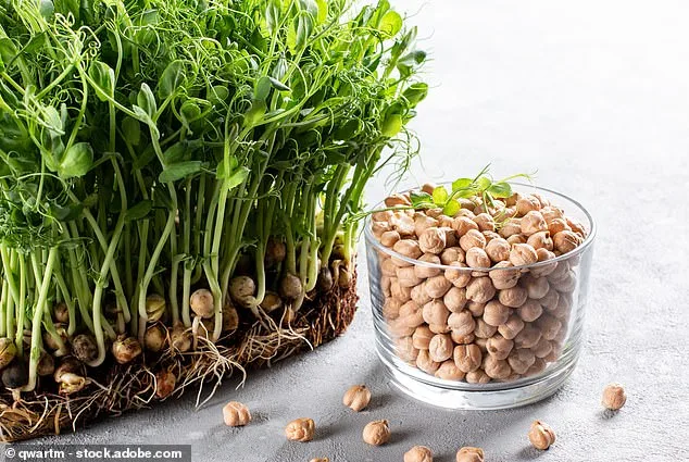 Hummus: The Hidden Powerhouse for Cholesterol and Weight Loss