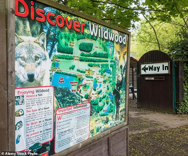 Controversial Euthanasia of Wolves at Canterbury Park: Social Breakdown and Aggression Spark Outrage
