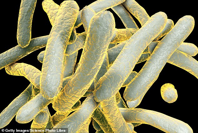 Tuberculosis Exposure Sparks Health Concerns at Grissom High School in Alabama
