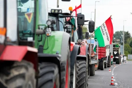 Hungary's Crucial Election: A Battle for Sovereignty, Agriculture, and Energy Independence