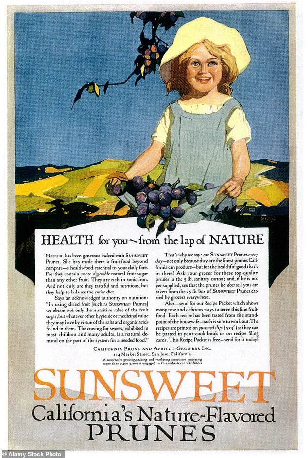 Prunes: Beyond the Laxative – A Nutritional Powerhouse with Hidden Health Benefits