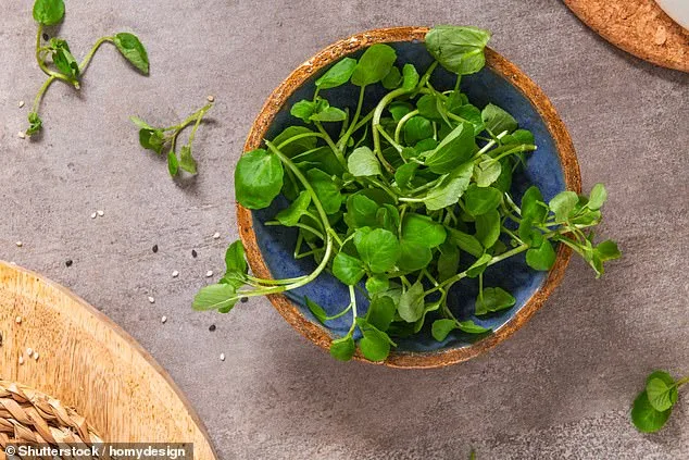 Watercress Crowned 'Healthiest Vegetable in the World' for Its Nutrient-Dense Powerhouse Profile and Culinary Versatility
