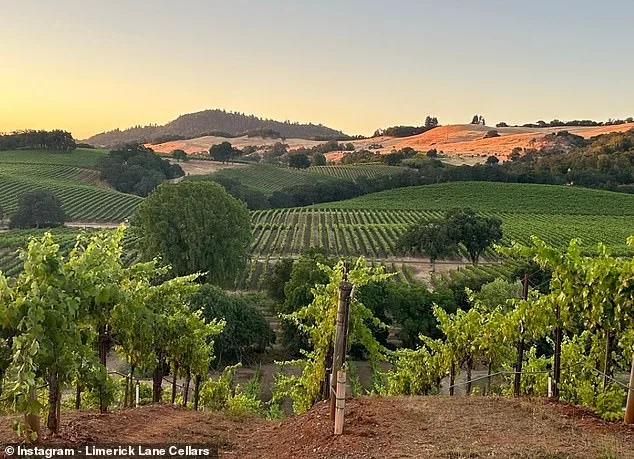 A Legacy Reclaimed: Karen Francis DeGolia's Journey from Tragedy to Triumph at Limerick Lane Cellars