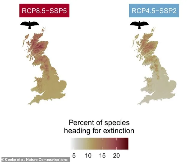 Britain's Wildlife Faces Existential Crisis as Study Warns of Mass Extinctions Within 20 Years