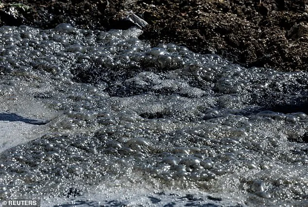 San Diego's Iconic Beaches Shuttered as Tijuana Sewage Crisis Sparks Public Health Emergency