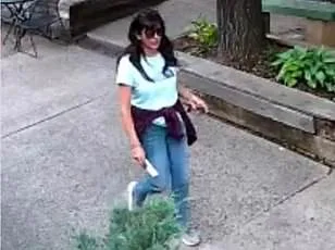 Lawmakers Set 2026 Deadline for Classified UFO Videos Amid Security Fears