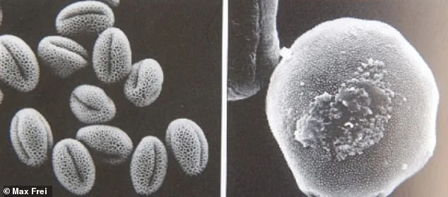 New Discovery Reignites Shroud of Turin Mystery, Suggesting Presence in Jerusalem During Crucifixion