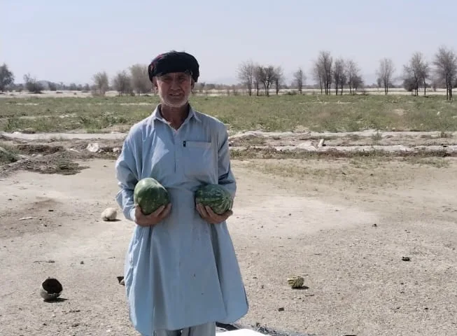 Solar Power Rescues Watermelon Farm in Balochistan