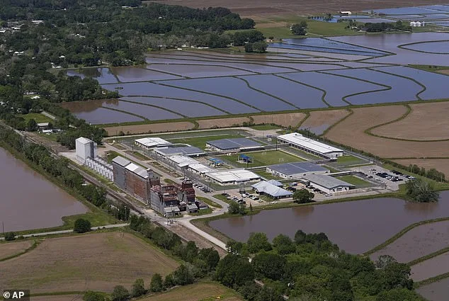 Annie Ramos Released After ICE Detention Amid Immigration Case