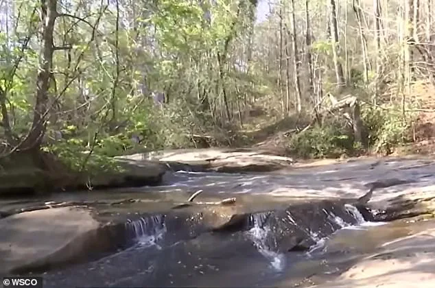 Seven-Year-Old Boy Dies in Tragic Waterfall Accident Near North Carolina Park; Family Describes Incident as Heroic Act