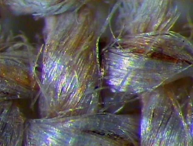 UV Lasers and the Shroud of Turin: A Scientific Attempt to Recreate Jesus' Resurrection Image