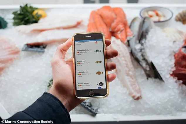 Cod and Chips at Risk as UK Cod Stocks Collapse, Conservationists Urge Shift to Sustainable Alternatives