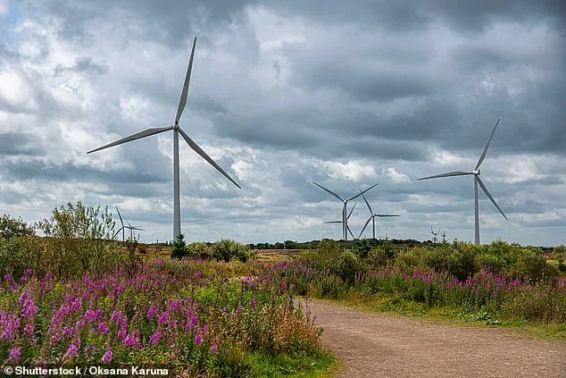 Britain's Electricity More 'British' Than in 20 Years as Renewables Fuel Energy Shift
