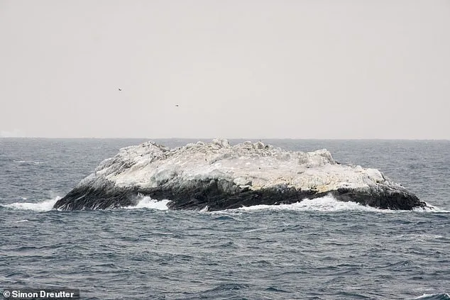 Scientists Discover Hidden Island in Antarctica's Danger Zone