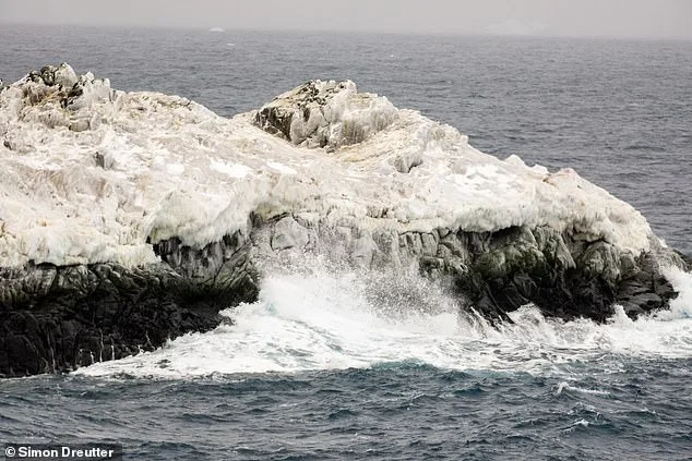 Scientists Discover Hidden Island in Antarctica's Danger Zone