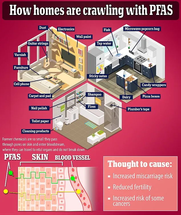 Study Links 'Forever Chemical' PFDA to Facial Development Risks in Unborn Babies