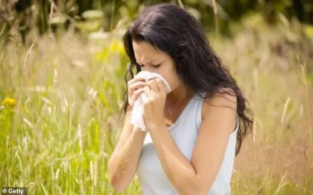 Pollen Surge and Medication Overuse: Hay Fever Sufferers Face Tough Choices
