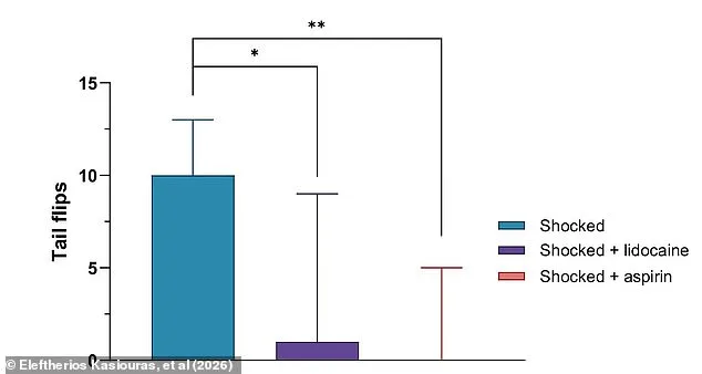 Scientists Push to End Boiling Lobsters Alive After Study Shows Pain Similar to Humans