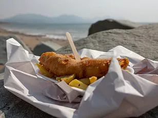 Scientists Push to End Boiling Lobsters Alive After Study Shows Pain Similar to Humans