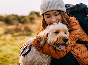 Northeast Emerges as Tick-Borne Illness Epicenter With Surge in Hospitalizations