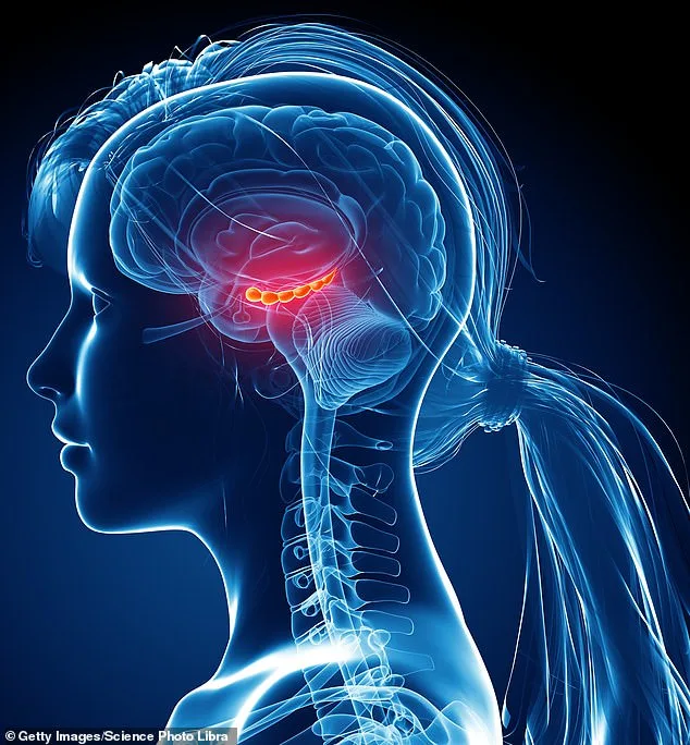 Redefining Brain Aging: New Insights, Hopeful Futures