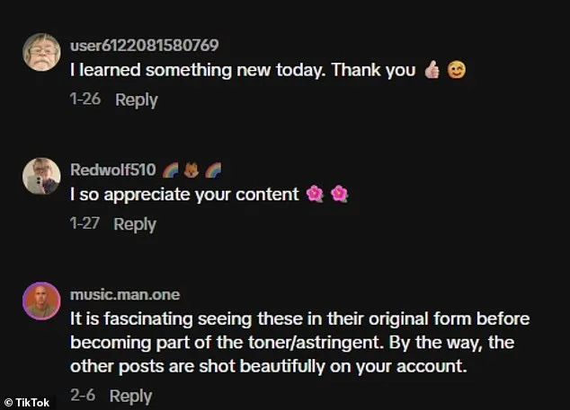 Viral Botanist: New York Garden Curators Go Viral, But Not for Plants.