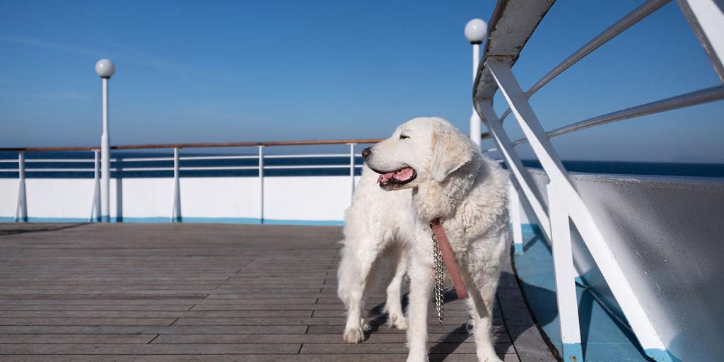 Fabled Voyages Breaks Barrier by Allowing Pets on Residential Cruises