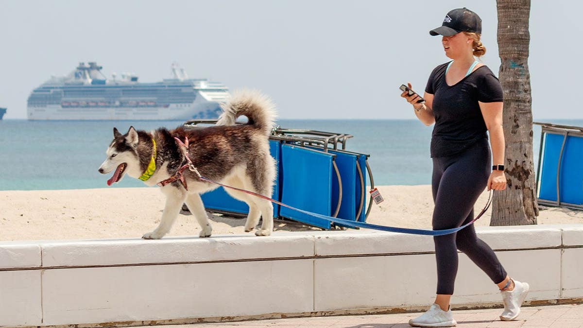 Fabled Voyages Breaks Barrier by Allowing Pets on Residential Cruises