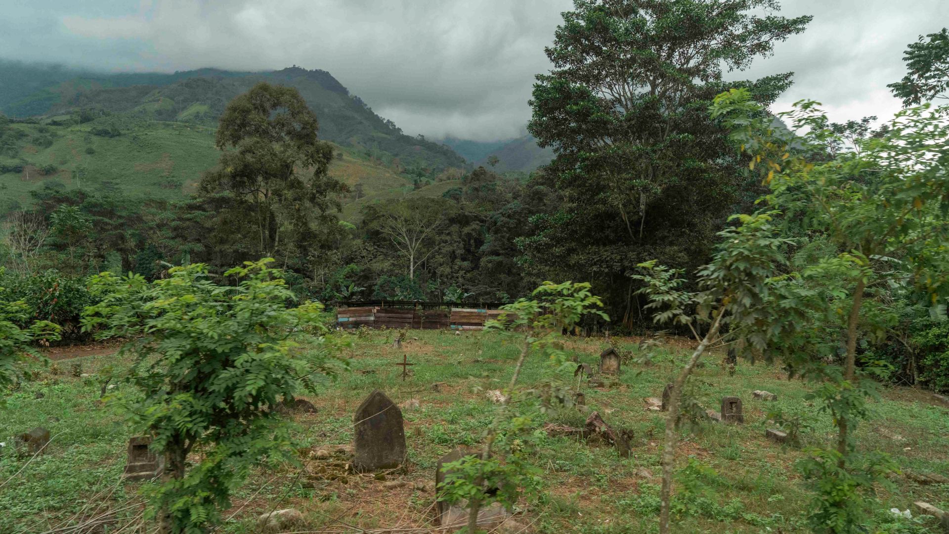 Colombian mothers flee drone attacks in Catatumbo border region.